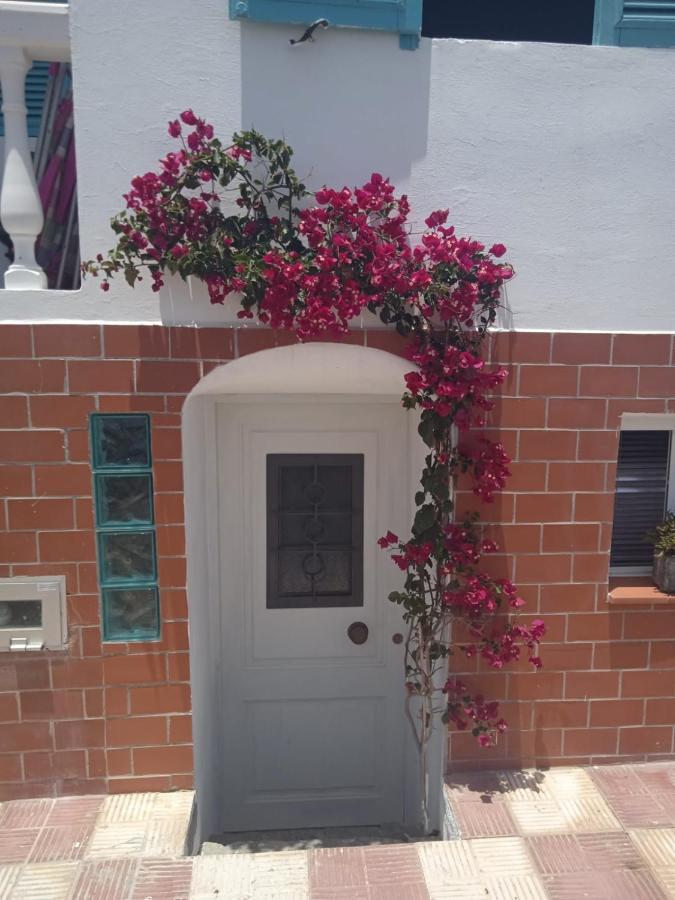 Apartment Trini